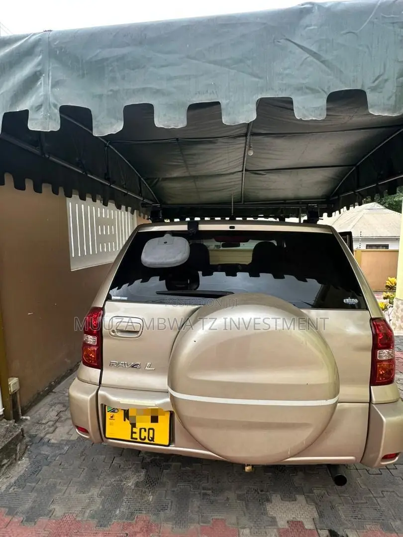 Toyota RAV4 2005 Gold