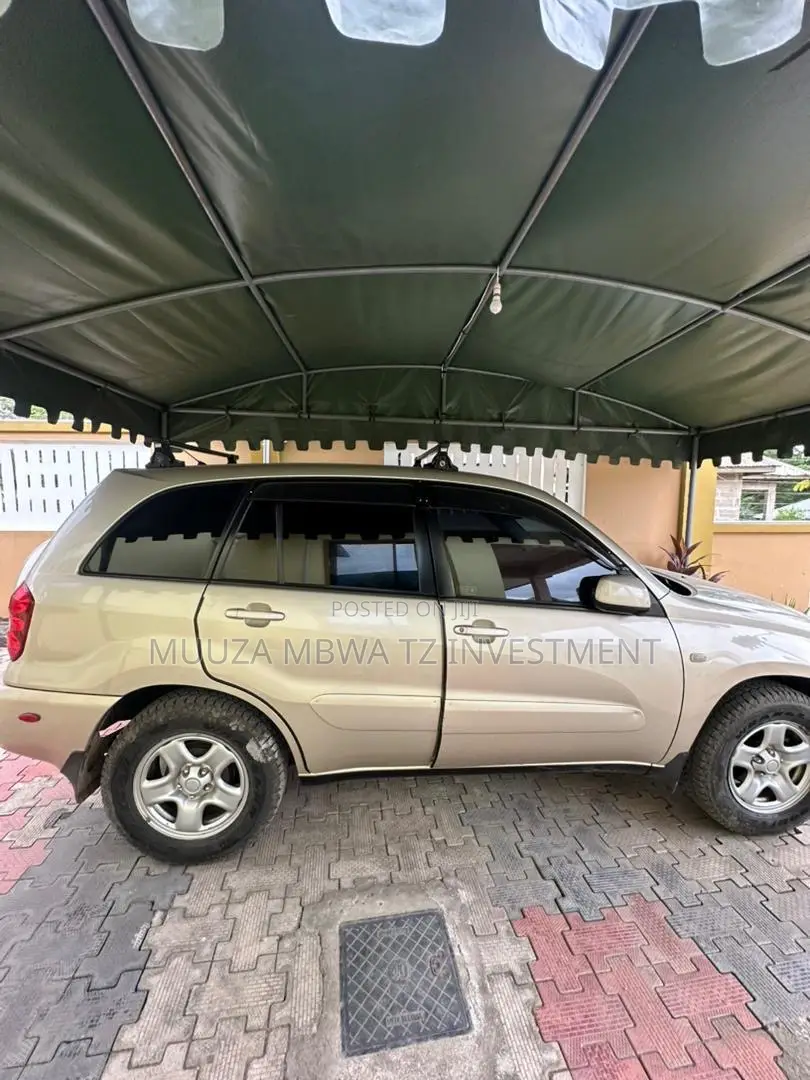 Toyota RAV4 2005 Gold