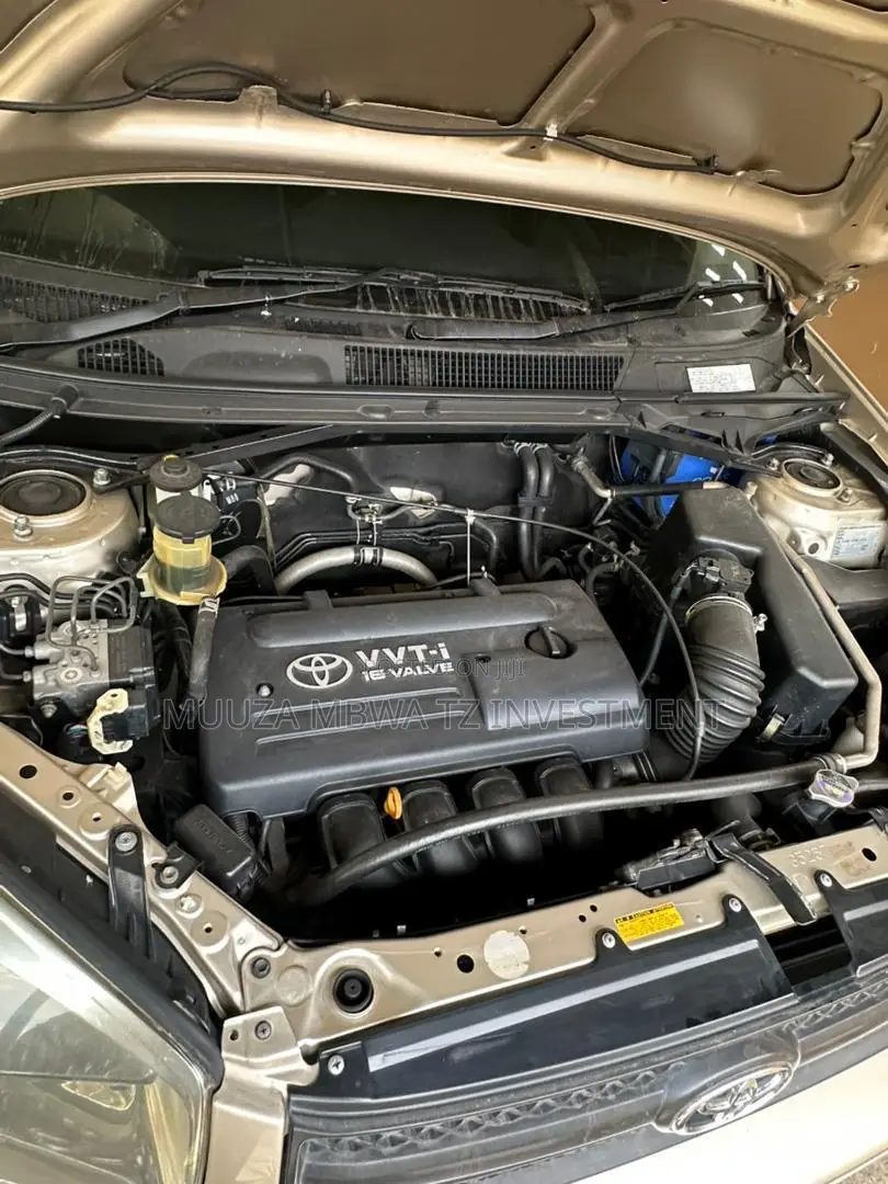 Toyota RAV4 2005 Gold