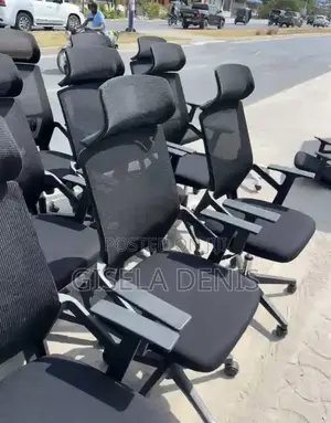 Ergonomic Chair