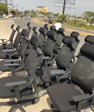Ergonomic Chair