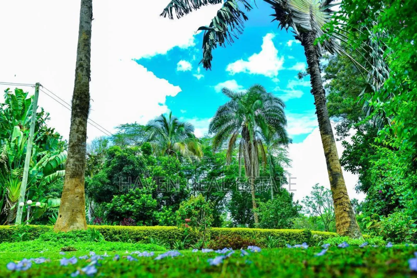 Plot for Sale at Njiro Arusha