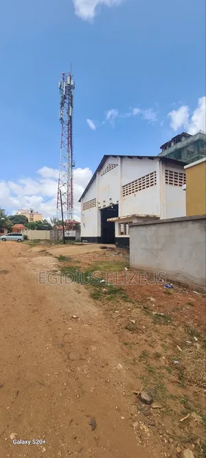 Godowm Linauzwa