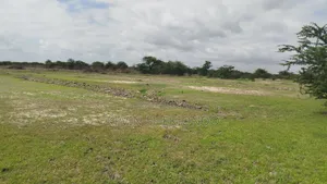 Heka 8 Za Mpunga / Dakawa Morogoro
