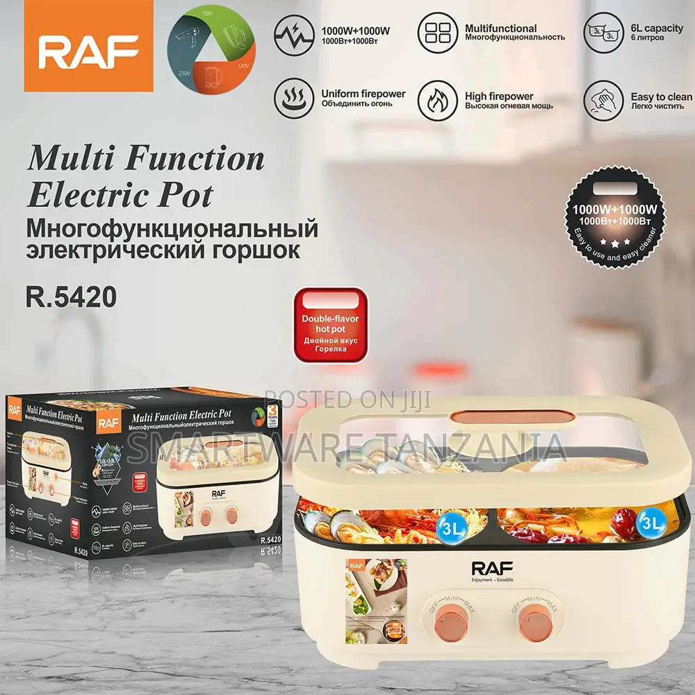Raf Multi Function Electric Pot 2000w R.5420 6l Dual Cooker Steamer