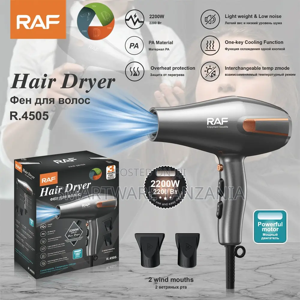 Raf 2200w Professional Hair Dryer 2 Speed Salon Blow Dryer