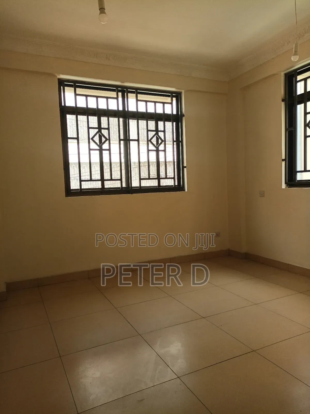 2bdrm Apartment in Kariakoo for rent