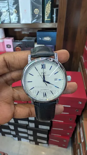 Iwc Portofino Automatic