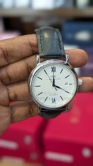Iwc Portofino Automatic