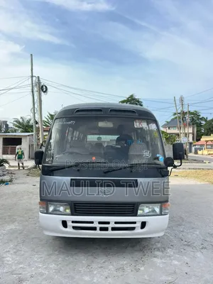 Toyota Coaster 2002 Grey