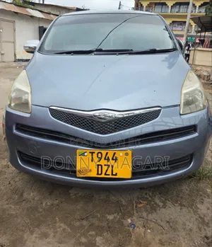 Toyota Ractis 2009 Gray