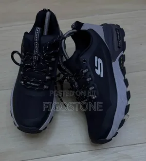 Sketcher Sneakers