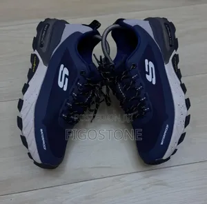 Sketcher Sneakers