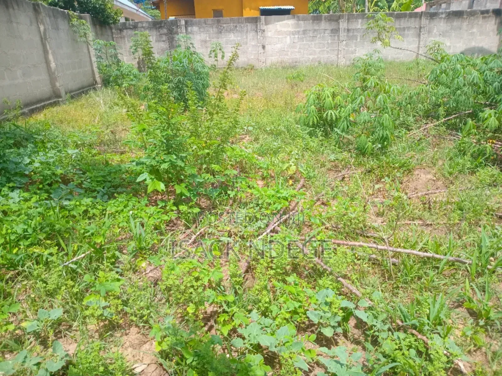 Land for Sale
