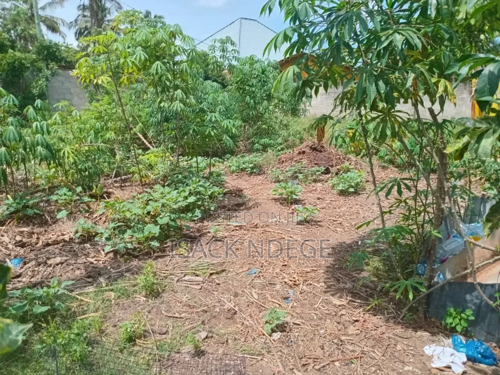 Land for Sale