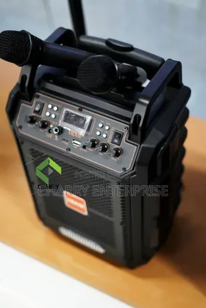 Vidvie Broadcast Portable Bluetooth Speaker With 2 Wireless Mic
