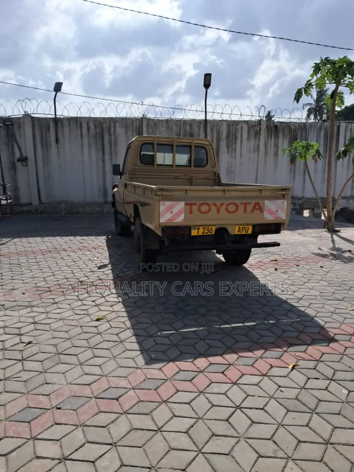 Toyota Land Cruiser 1999 Brown