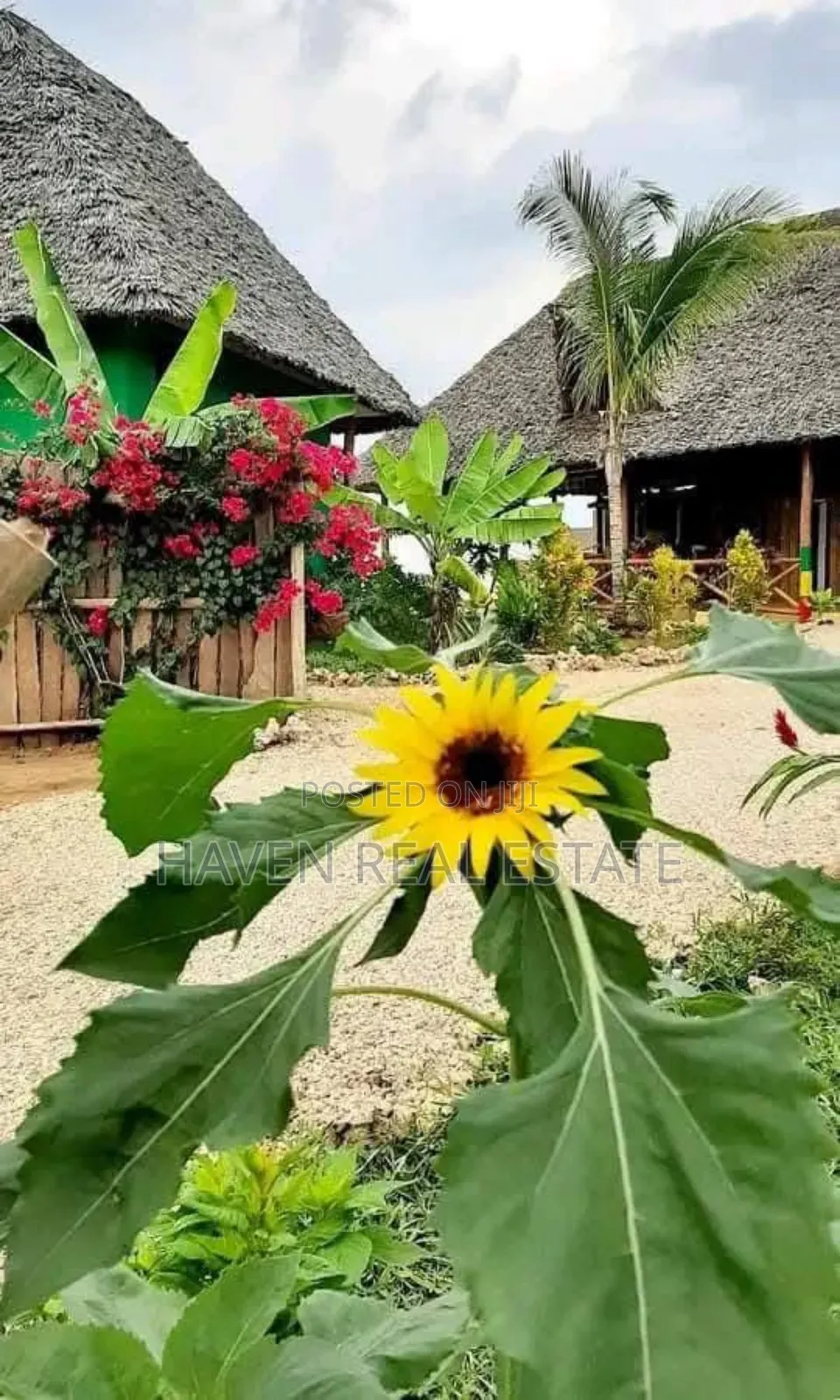 Resort for Sale at Kendwa Zanzibar