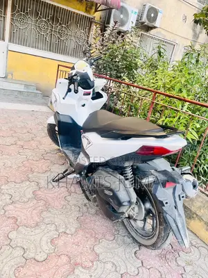 New Honda 2025 White