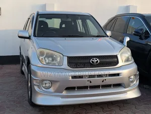 Toyota RAV4 2004 Slver
