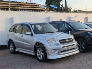Toyota RAV4 2004 Slver