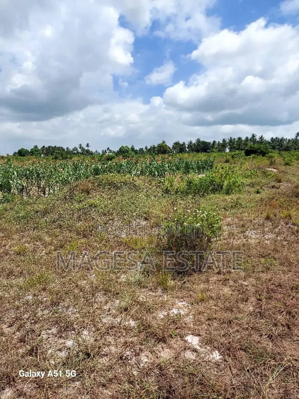 Land for Sale in Mkuranga, Pwani (207 Acres)