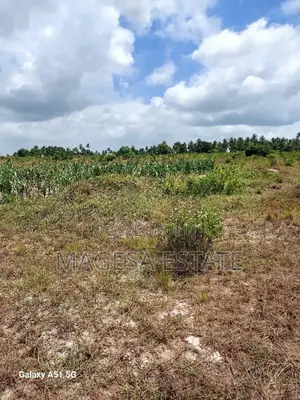 Land for Sale in Mkuranga, Pwani (207 Acres)
