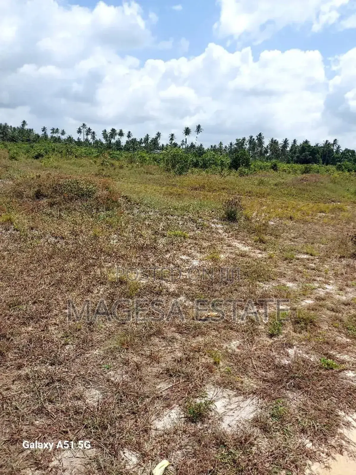 Land for Sale in Mkuranga, Pwani (207 Acres)