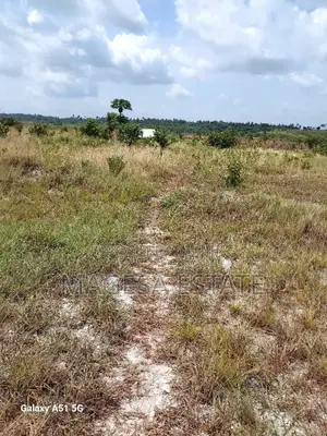 Land for Sale in Mkuranga, Pwani (207 Acres)