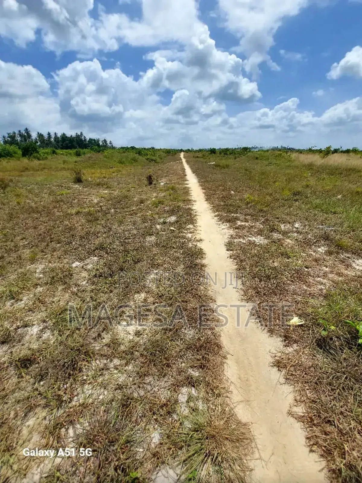 Land for Sale in Mkuranga, Pwani (207 Acres)