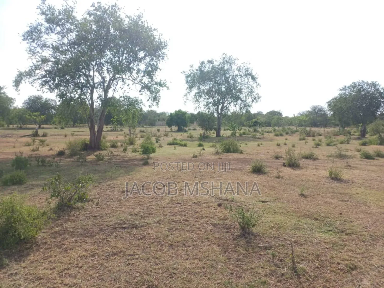Viwanja Vinauzwa-Nduli