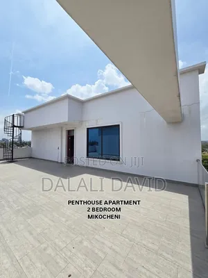 2bdrm Penthouse in Mikocheni for rent