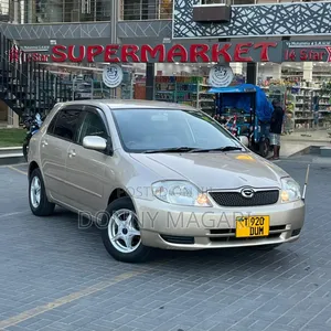 Toyota Corolla RunX 2001 Gold