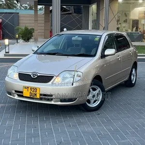Toyota Corolla RunX 2001 Gold