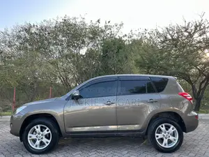 Toyota RAV4 2009 Gray