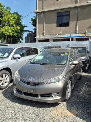 Toyota Wish 2009 Gray