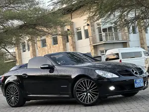 Mercedes-Benz SLK-Class 2007 Black