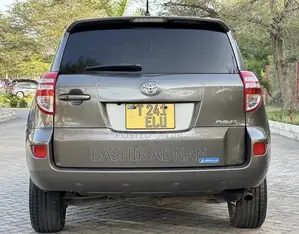 Toyota RAV4 2009 Brown
