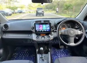 Toyota RAV4 2009 Brown