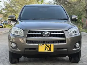 Toyota RAV4 2009 Brown