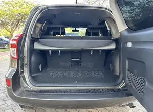 Toyota RAV4 2009 Brown
