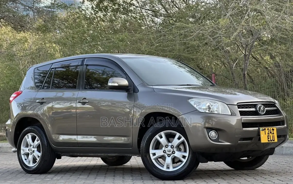 Toyota RAV4 2009 Brown