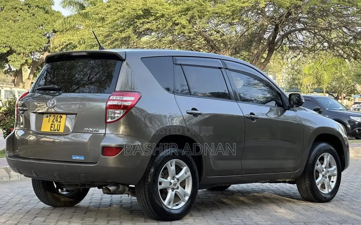 Toyota RAV4 2009 Brown