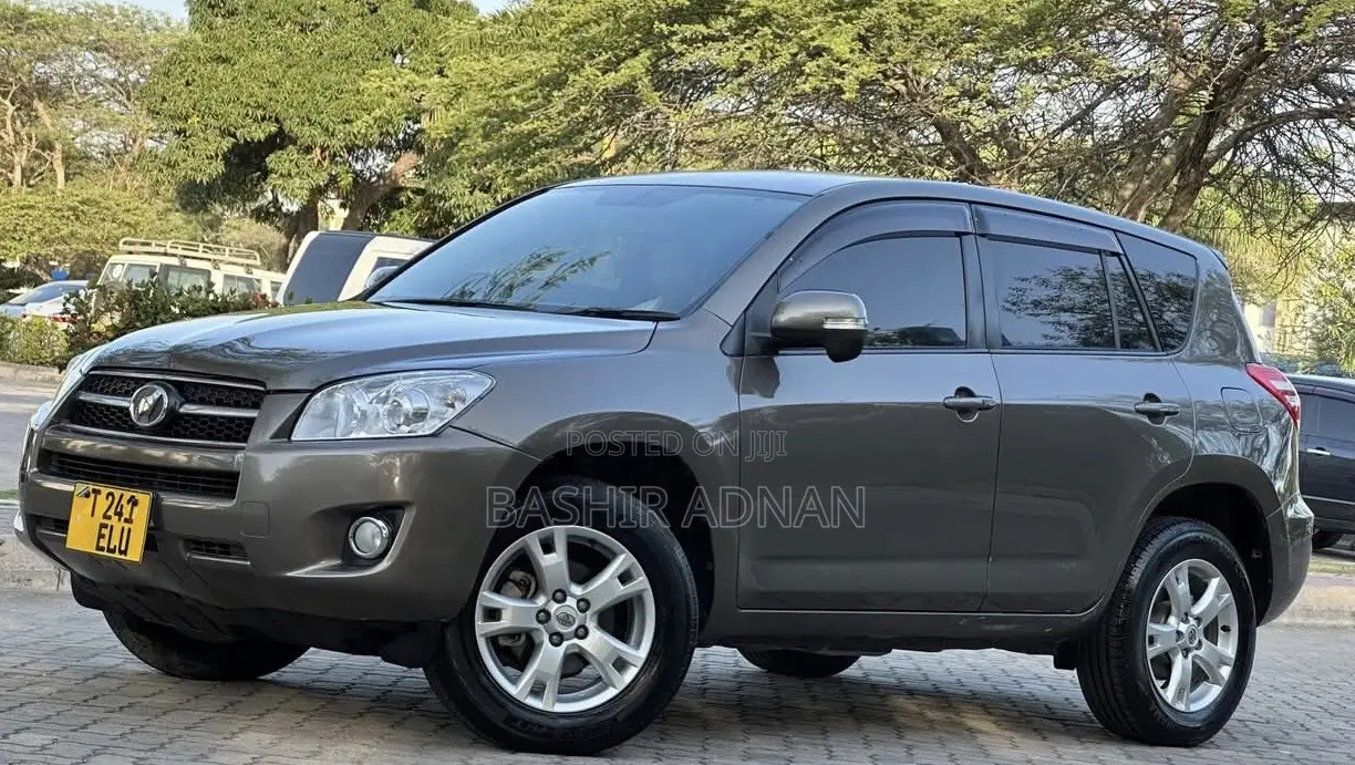 Toyota RAV4 2009 Brown