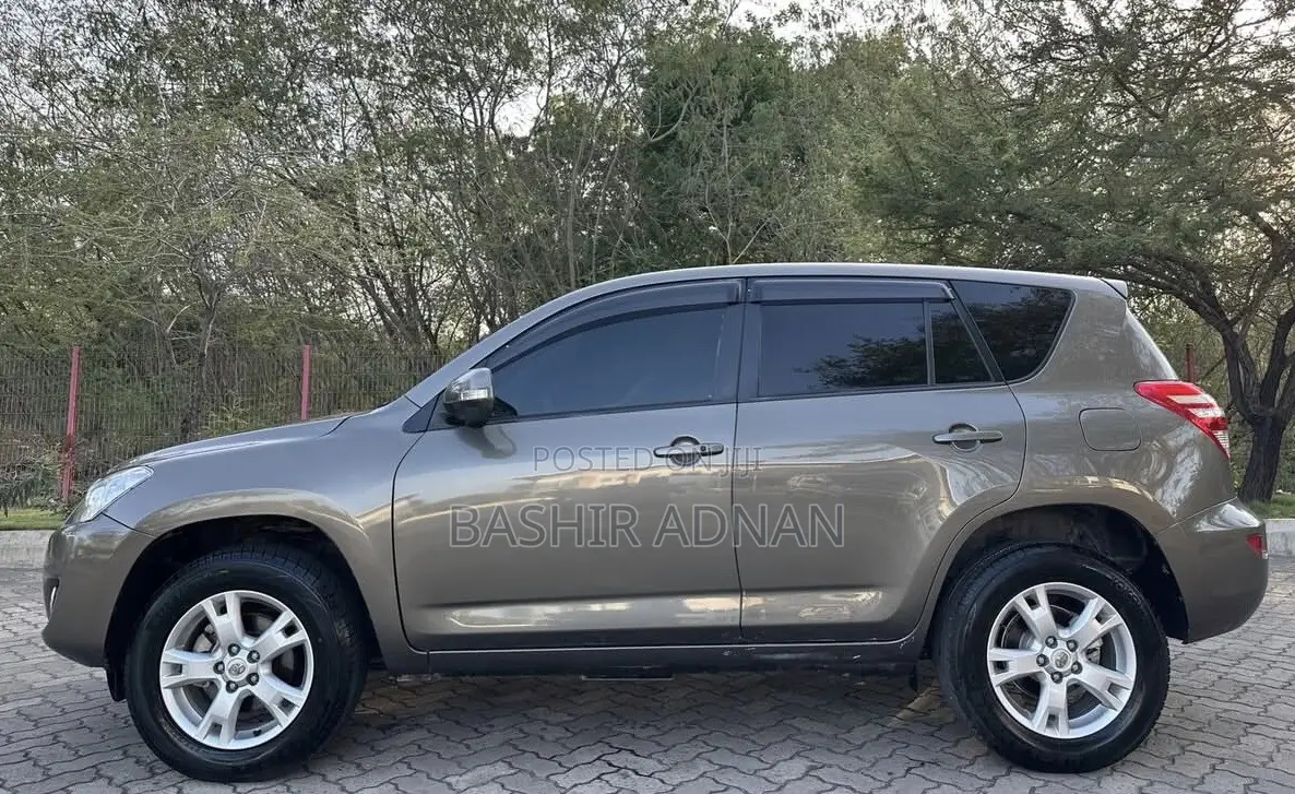 Toyota RAV4 2009 Brown