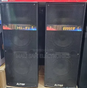 Alitop Proffesional Speaker