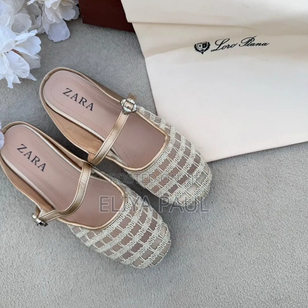 Zara Shoes