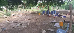 Shamba La Ekari Tatu Linauzwa Bunju A