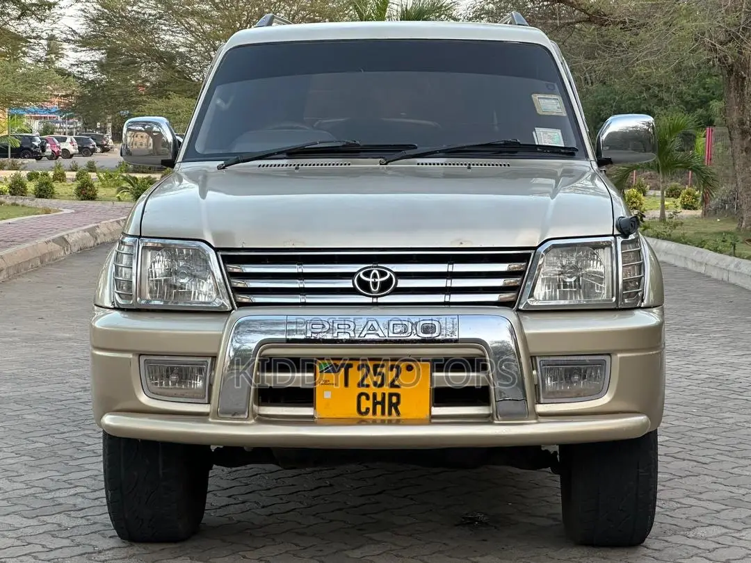 Toyota Land Cruiser Prado 2001 Silver
