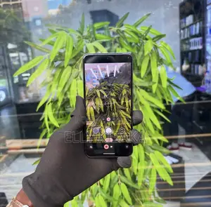 Google Pixel 8 128 GB Black